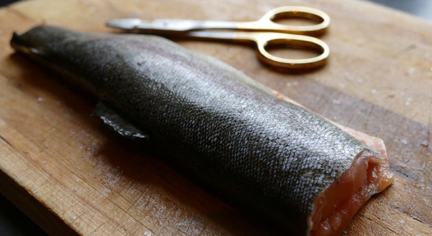 Trout Cookery