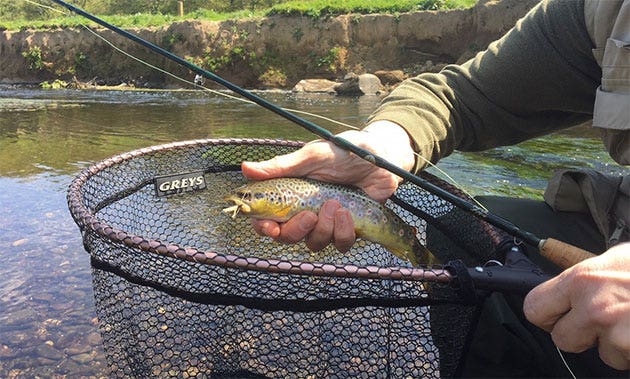 Nick's early season river trout fishing advice