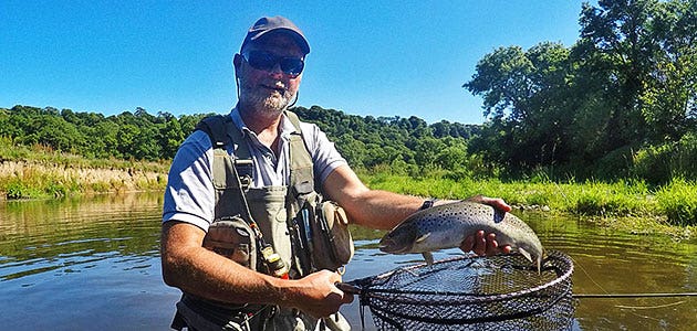 Blue Sky Sea Trout