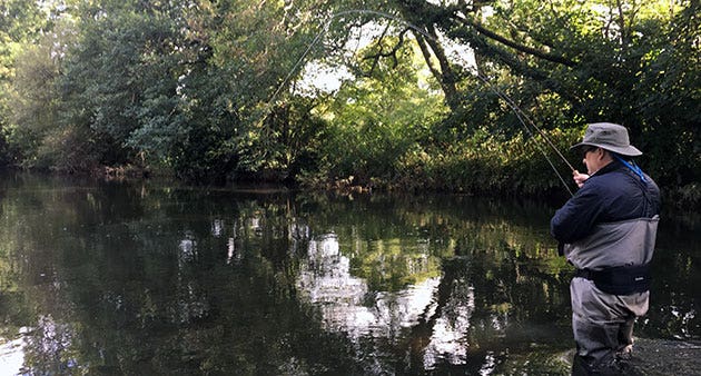 playing autumn daytime sea trout