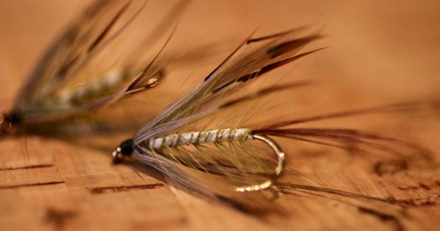 Mayfly French Partridge