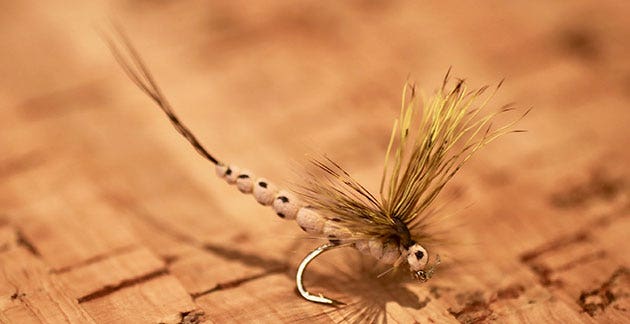 O E Mohican Mayfly