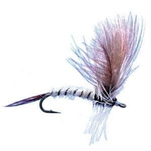 Baz’s Mayfly