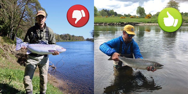Don't photograph the fish on dry land