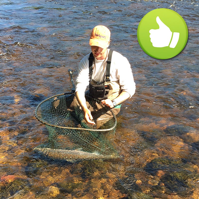 How to Perform Salmon CPR - Catch, Photo, Release - Farlows in the Field