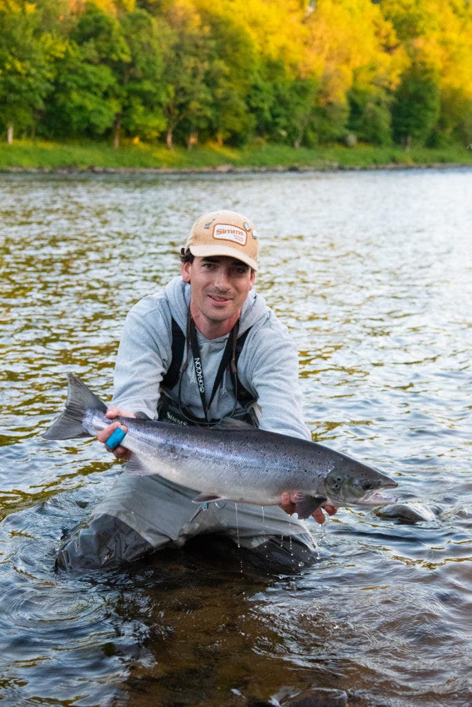 Post-Lockdown Salmon Fishing on the River Tay - Farlows in the Field