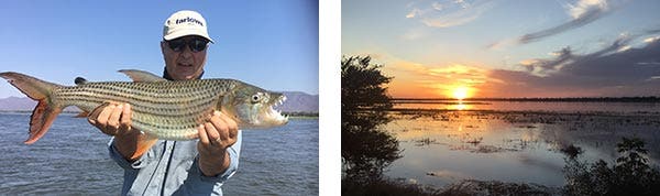 Zambezi fishing