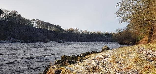 2018 Salmon Season Opening Day on the River Tay