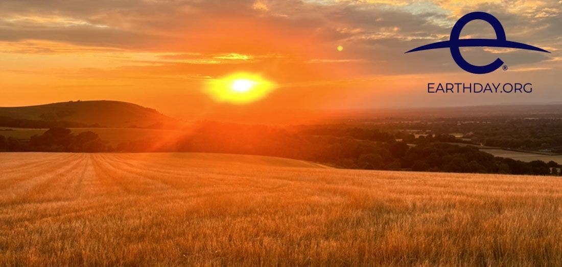Top 10 Eco-Friendly Products Leading the Way for Sustainability