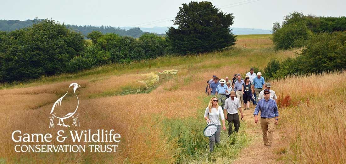 Meet GWCT: The Home of Working Conservation