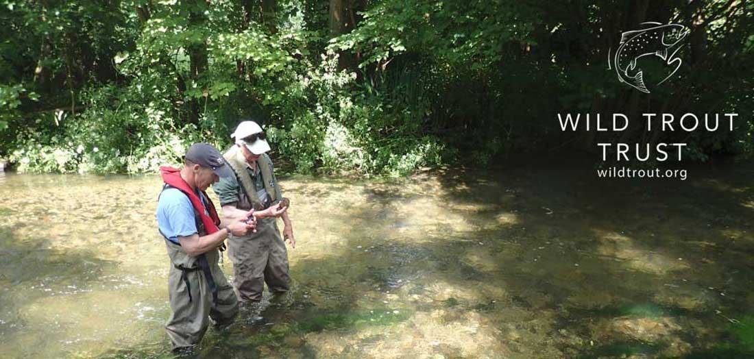 Making Chalk Streams Mess Again - for Fish, Birds and Insects