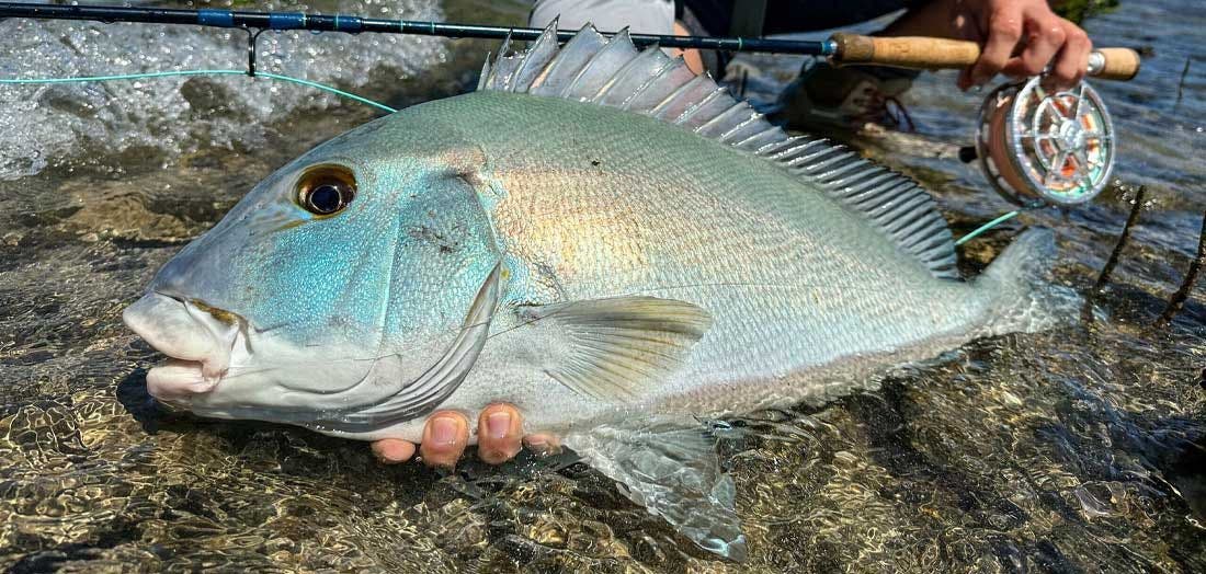 How To Saltwater Fly Fish