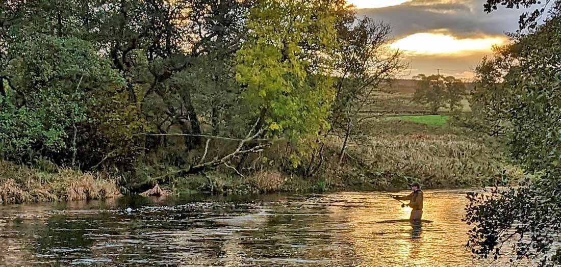 If You Love Sport, You'll Love Fly Fishing