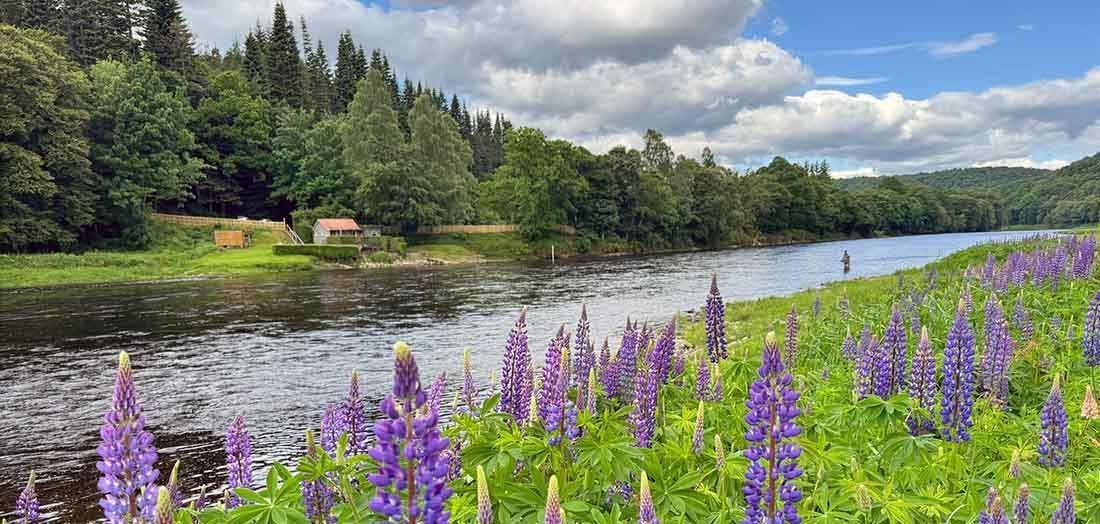 Why People Love Fly Fishing: Exploring the Excitement & Passion Behind the Sport