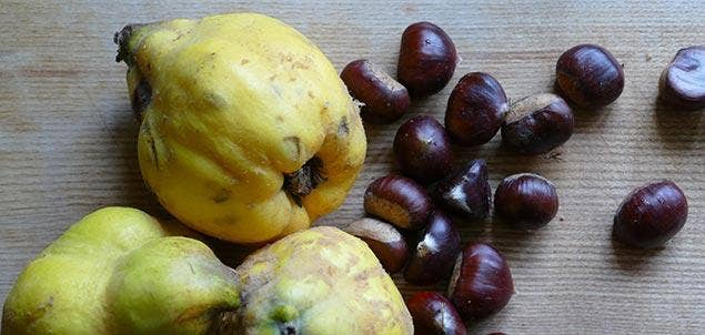 Annies Quince and chestnuts