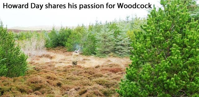 Woodcock Fever - A Passion for Driven Shooting