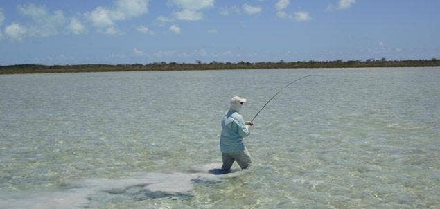 Cayo Romano - Cuba by David Profumo