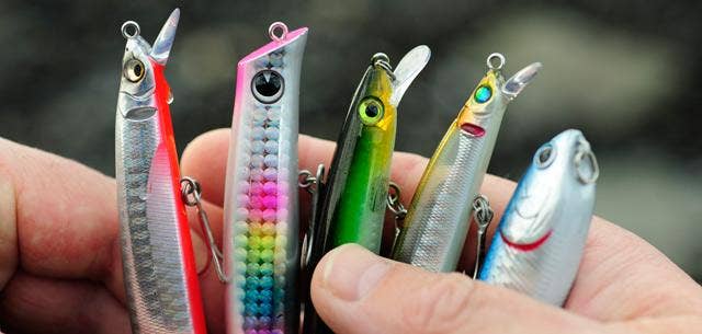 A Guide to Choosing the Best Lure