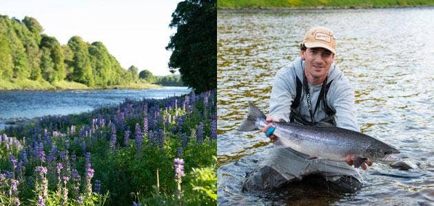 Post-Lockdown Salmon Fishing on the River Tay