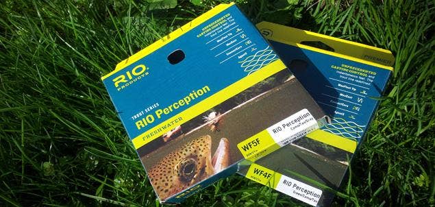 Secrets of the New RIO Perception Fly Line - Farlows in the Field