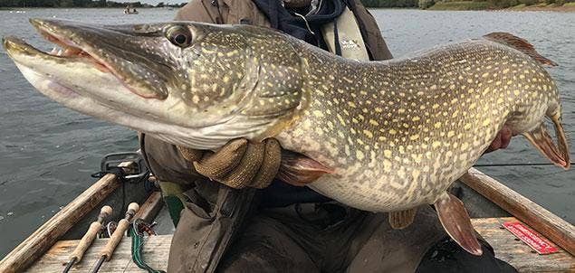 Pike Flies & Pike Traces - Flyfishing For Pike