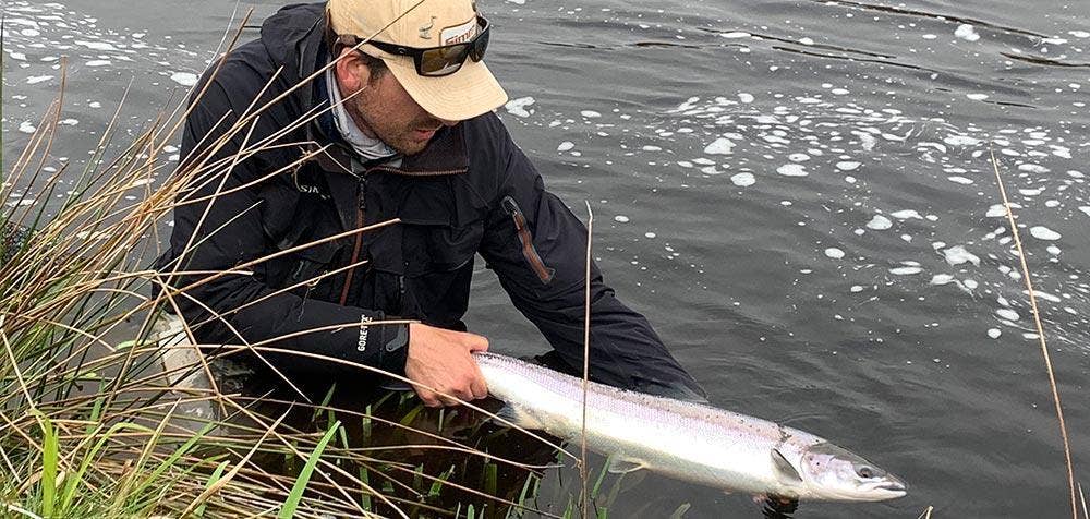 Spring Salmon Fishing - Farlows in the Field