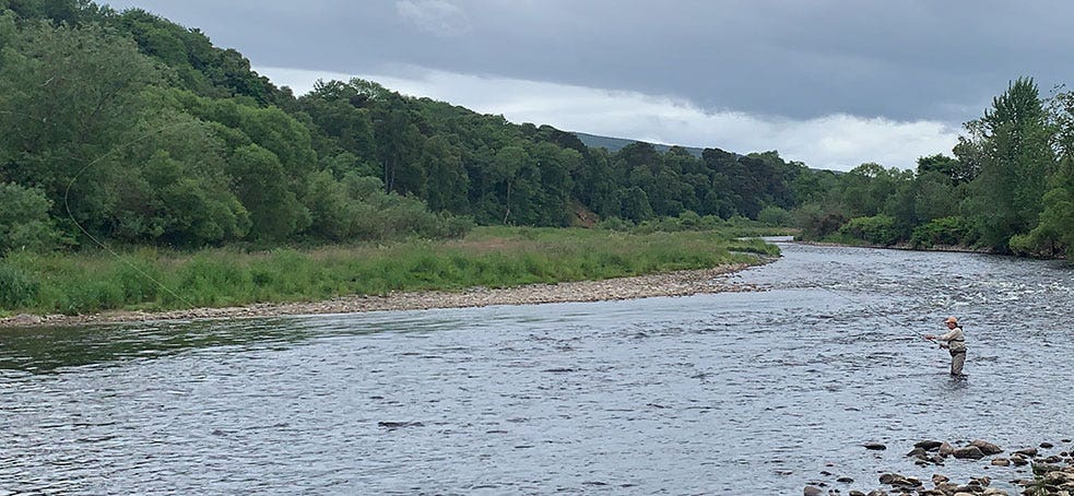 Summer salmon fishing casting and movement