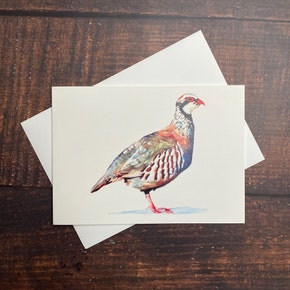 Farlows Fine Art Greetings Card - Partridge