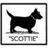 Scottie