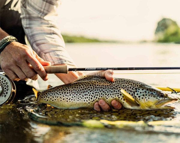 SAGE CLASSIC R8 FLY FISHING ROD