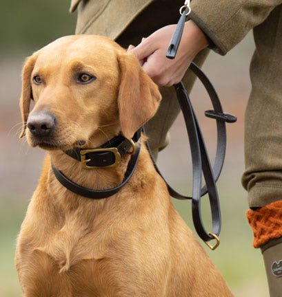 FARLOWS BRIDLE LEATHER SLIP DOG LEAD