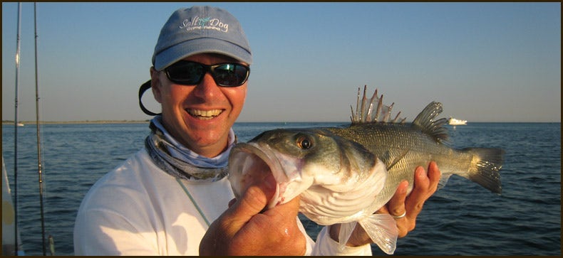 Guided Bass Fishing Days in Chichester Harbour