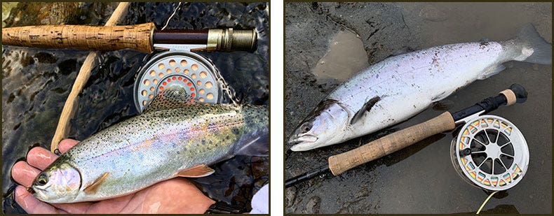 Catches on freshwater single-handed fly rods