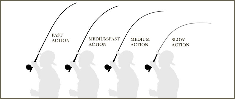 Fly rod actions