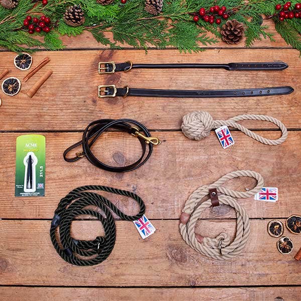 Gift Ideas for Dogs