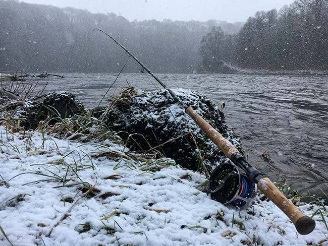 Spring Salmon Fishing - Farlows in the Field