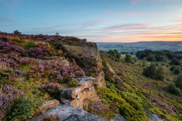 Grouse Shooting on the Moors