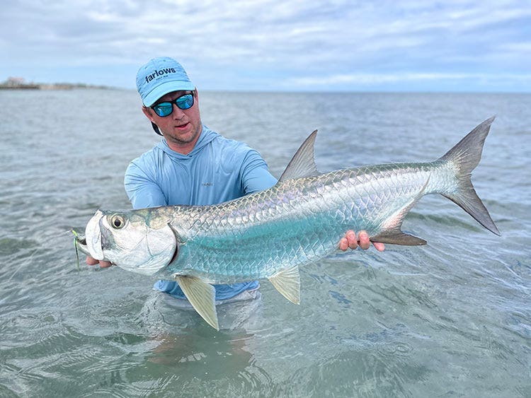 Tarpon