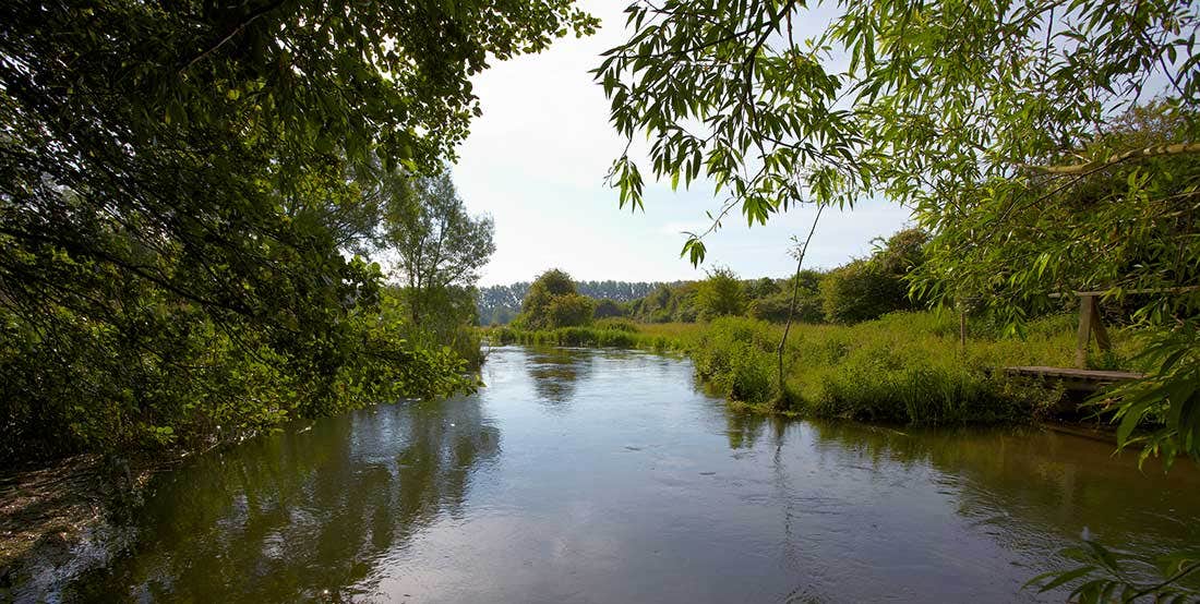 A Chalkstream during Mayfly Season