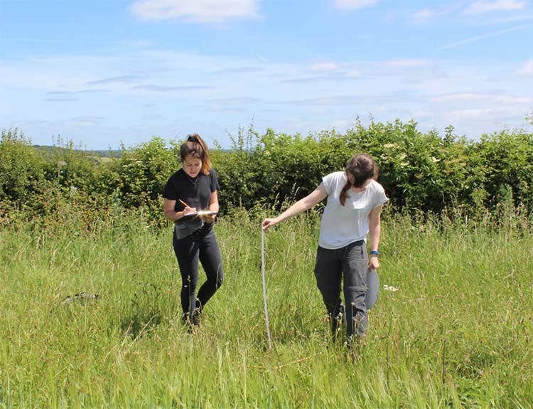 Vegetation survey bat project Vegetation survey bat project