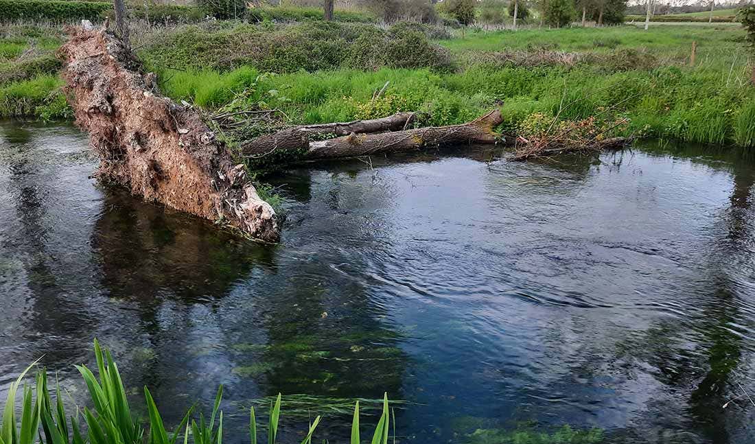 Bourne Rivulet Bourne Rivulet