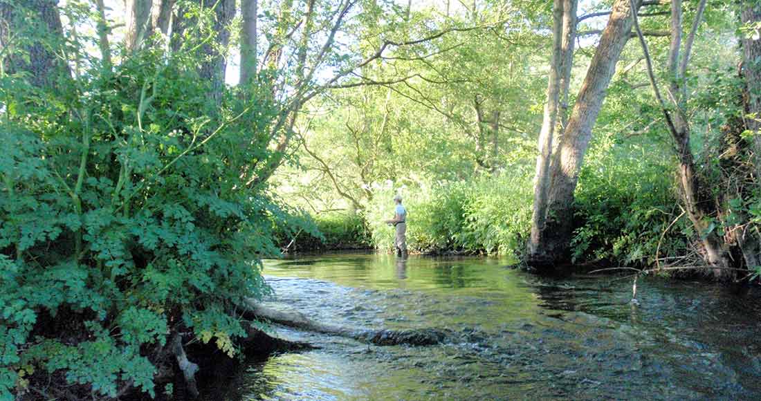 The River Meon The River Meon