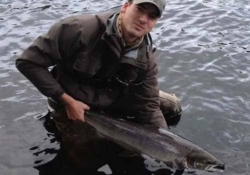 Autumn salmon fishing A September River Tay salmon being released in the river