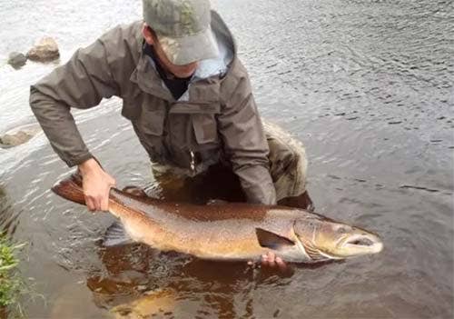 Autumn salmon fishing Back end Autumn salmon in the river with a Grant's Orange fly