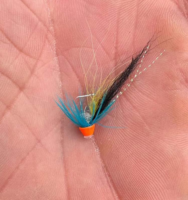 Salmon fly Salmon fly in palm of hand