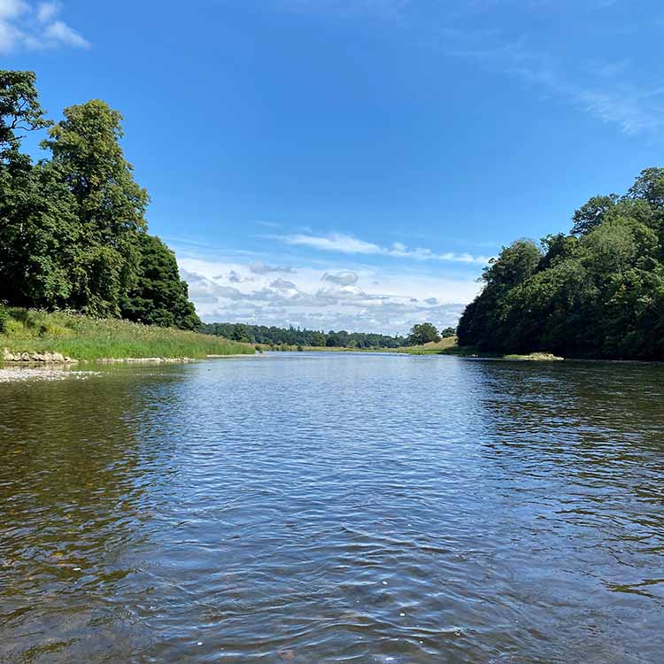 A sunny river Tweed A sunny river Tweed