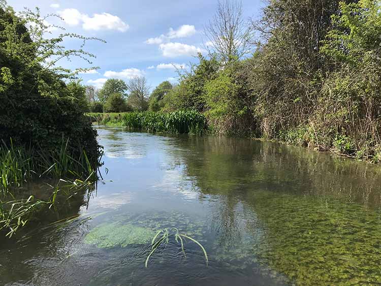 One of Simons fly fishing spots A view of Simons favourite fishing spot