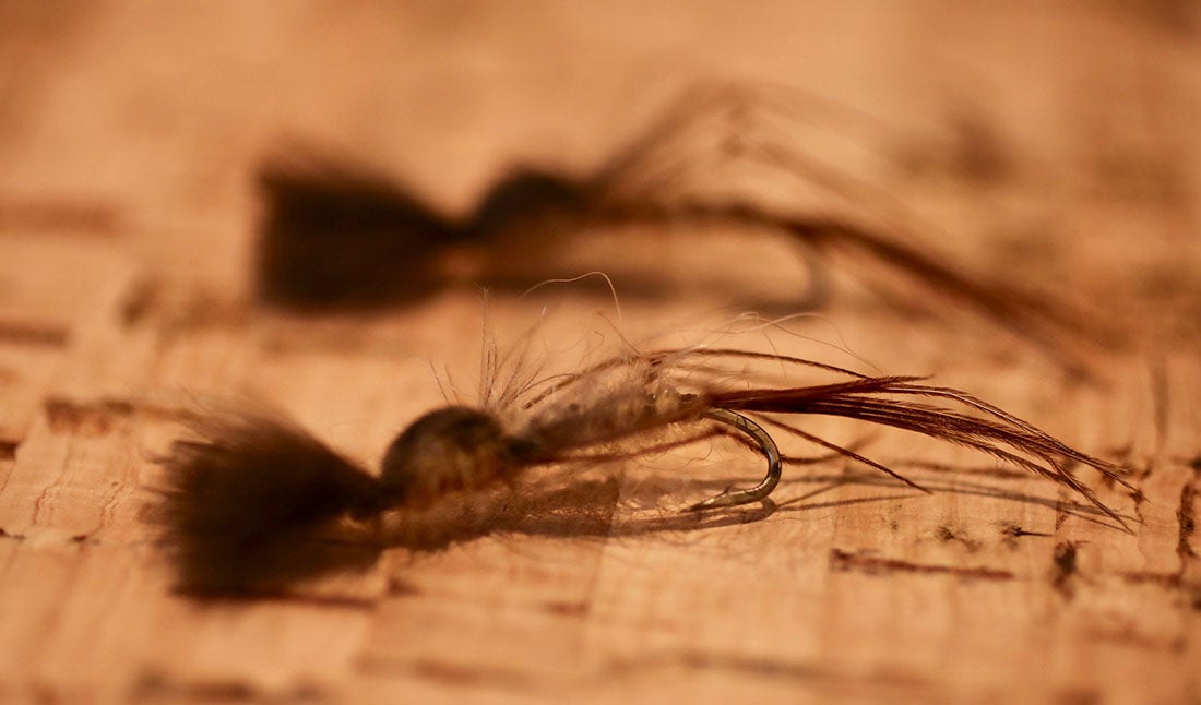 French Partridge Mayfly French Partridge Mayfly fly pictured on a cork matt