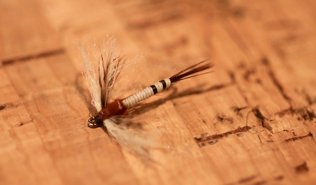 A Spent Mayfly Spent Mayfly pictured on a cork matt