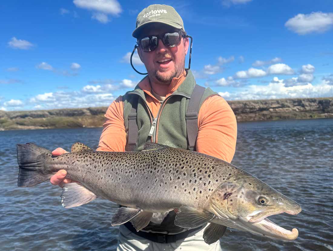 Chrome sea trout fresh from the tide Chrome sea trout fresh from the tide held by Colton whilst stood in the water